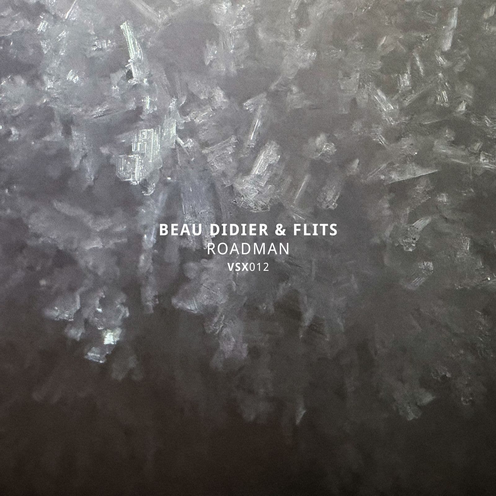 Beau_Didier_and_Flits-Roadman_EP-_VSX012_-16BIT-WEB-FLAC-2026-PTC