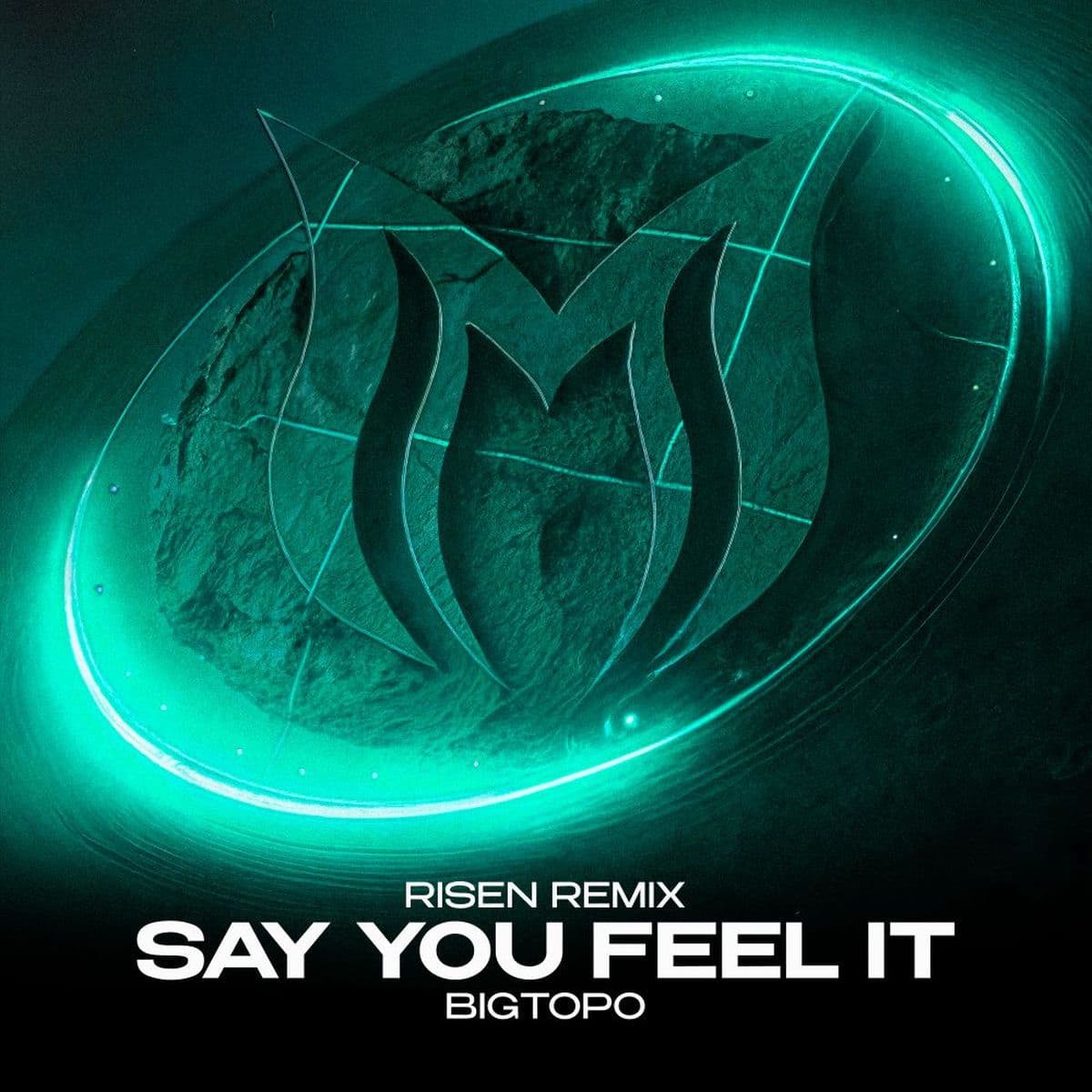 Bigtopo_-_Say_You_Feel_It_Risen_Remix_-_SND547_-WEB-2026-FMC