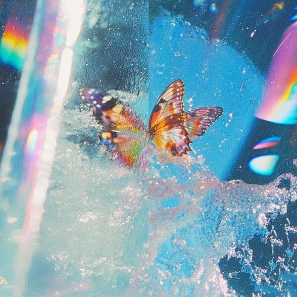 Daphni-Butterfly_Expanded_Edition_-_JIAOLONG038_-24BIT-WEB-FLAC-2026-JADED