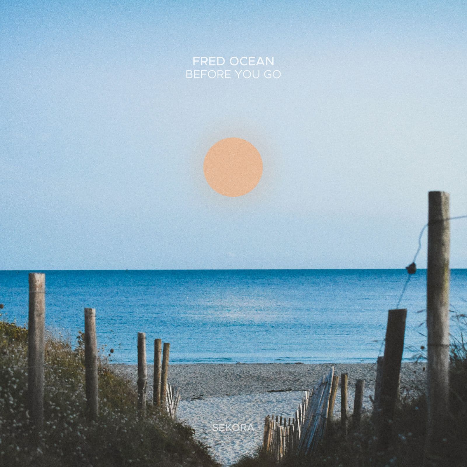 Fred_Ocean-Before_You_Go-_SEKC043_-WEB-2026-PTC