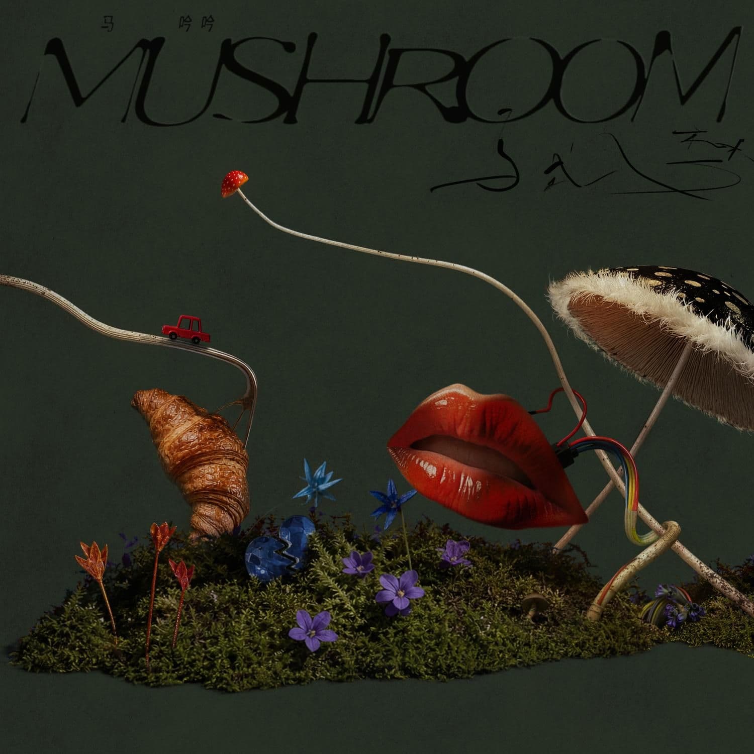 Ma_Yinyin-Mushroom-WEB-CN-2026-TosK