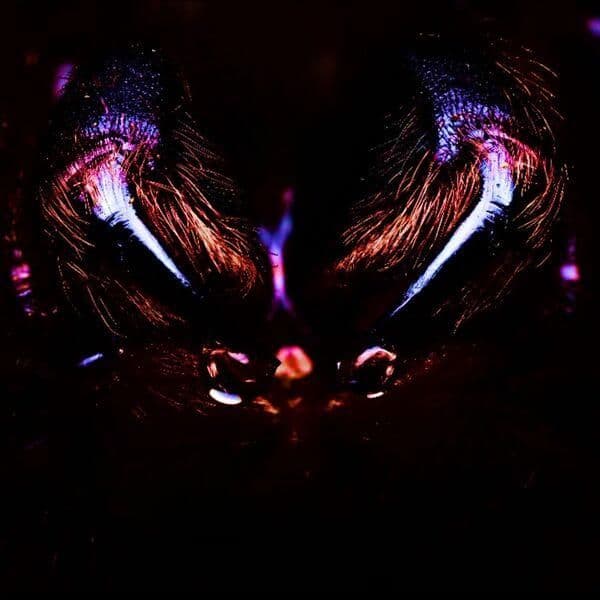 Ombra-NIGHT_TERROR-EP-WEB-2026-ENTiTLED