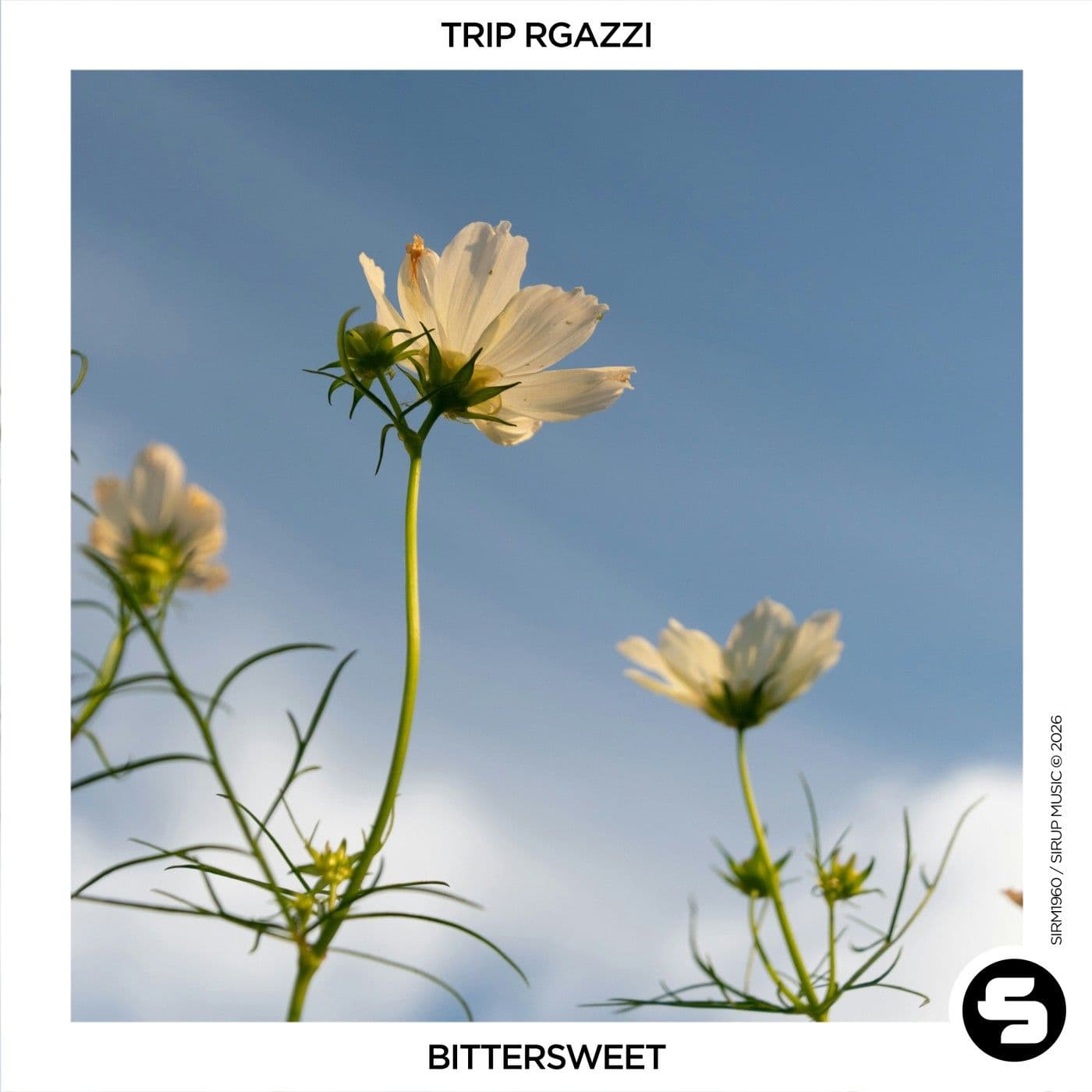 TRIP_RGAZZI-Bittersweet-_SIRM1960X_-WEB-2026-PTC