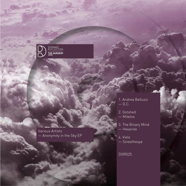 VA-Anonymity_In_The_Sky_EP-_TN001_-24BIT-WEB-FLAC-2016-BABAS