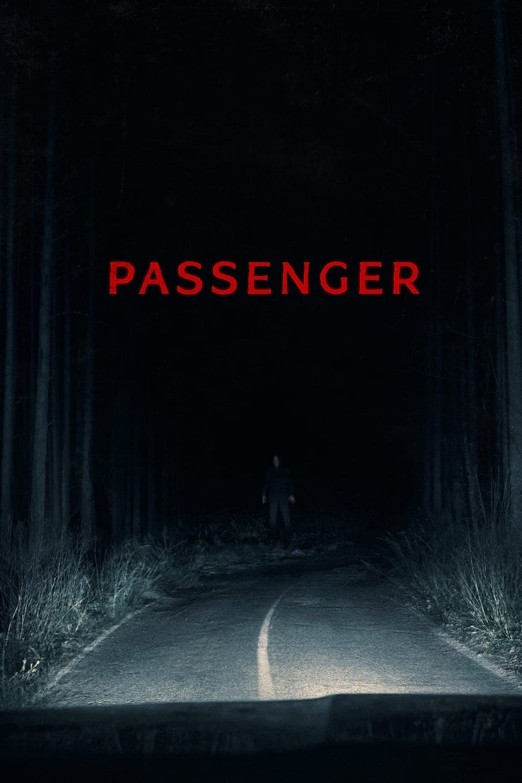 Passenger 2026 1080p AMZN WEB DL DDP5 1 H 264-KyoGo