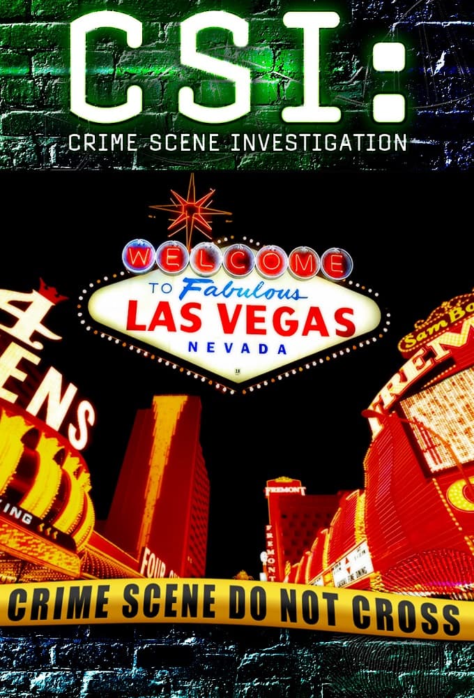 CSI Crime Scene Investigation S02E19 Stalker 1080p AMZN WEB DL DD 5 1 H 264-playWEB
