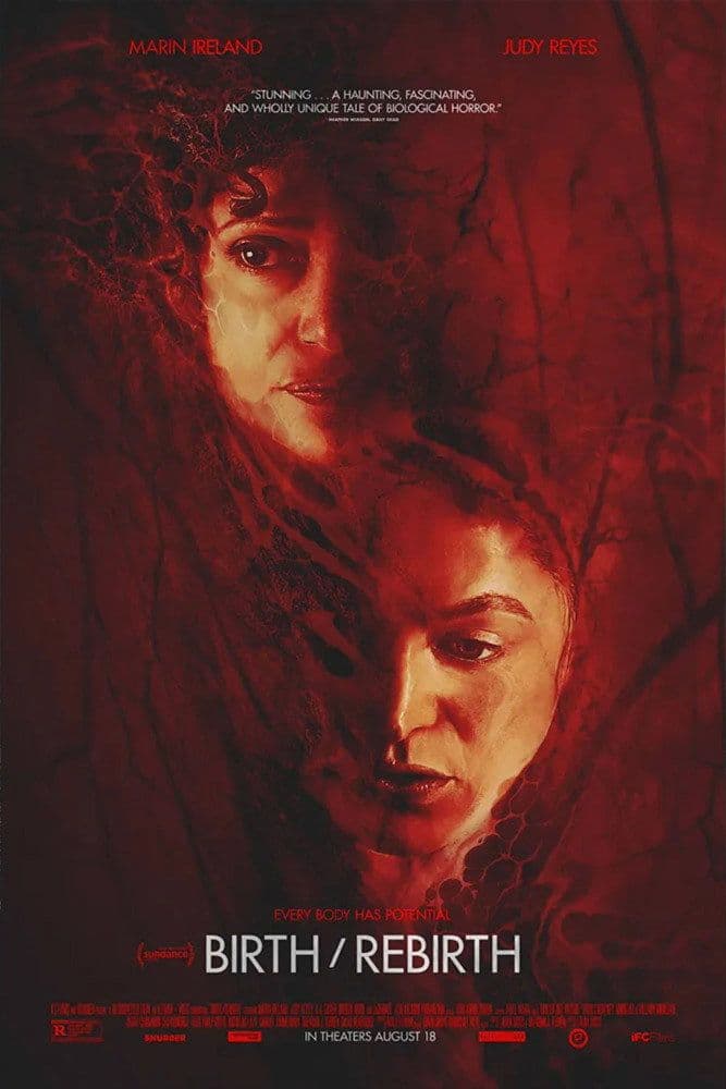 Birth Rebirth 2023 CZECH HDTV x264-iCZi