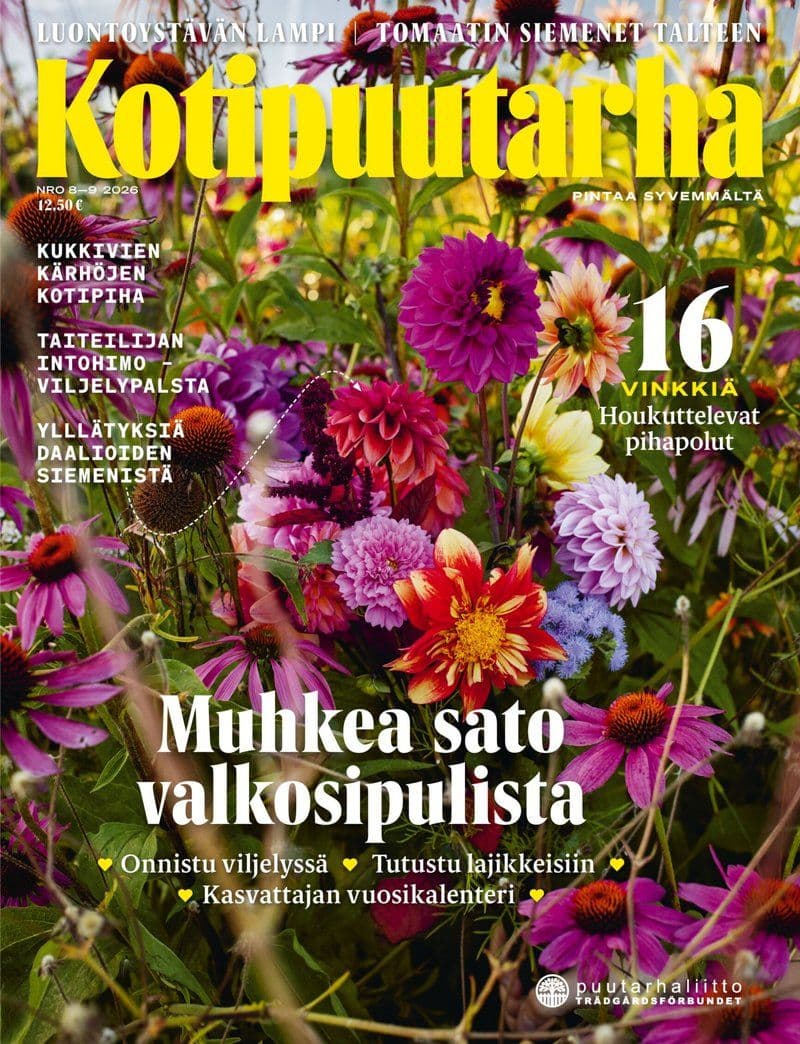 Kotipuutarha - Finnish Magazine No.08, 2026 [FI]