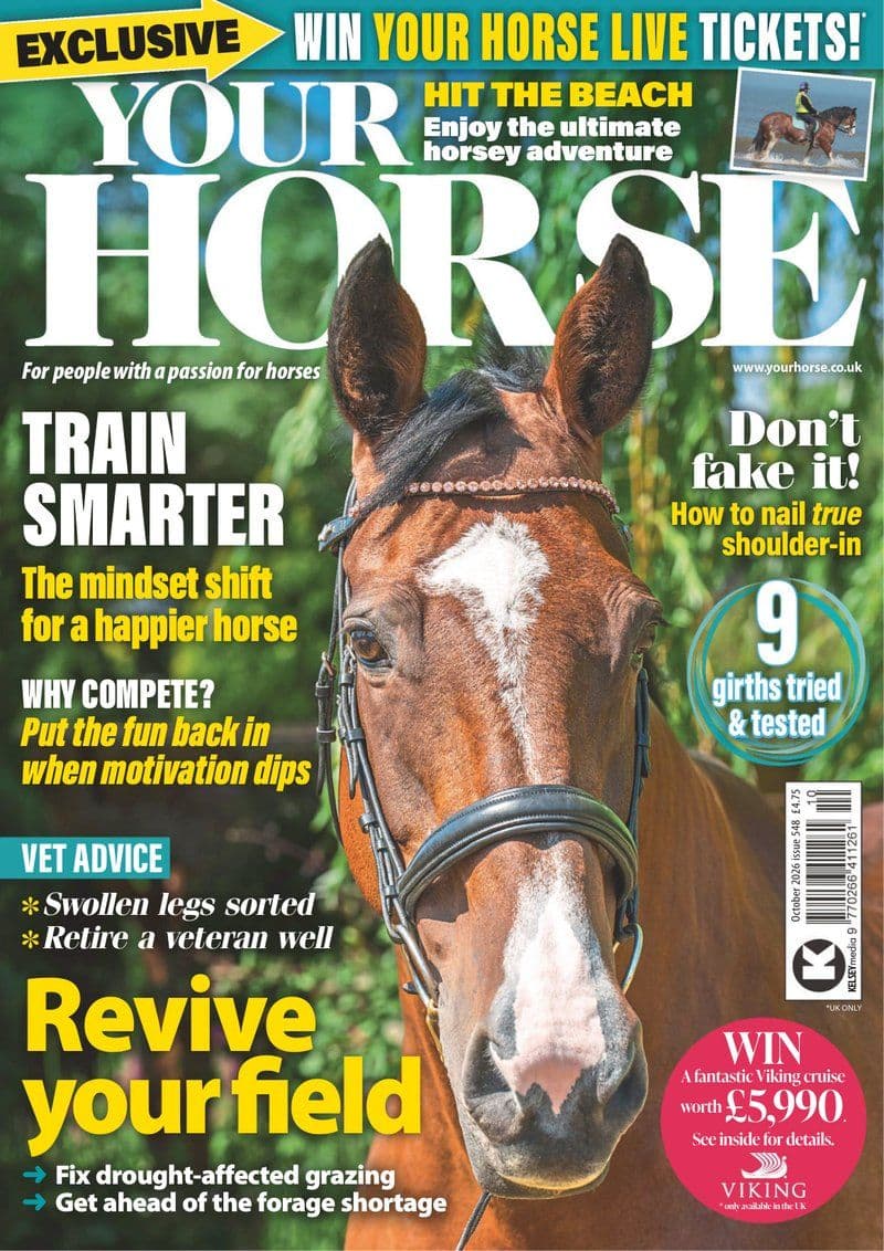 Your Horse October - 2026 [EN]