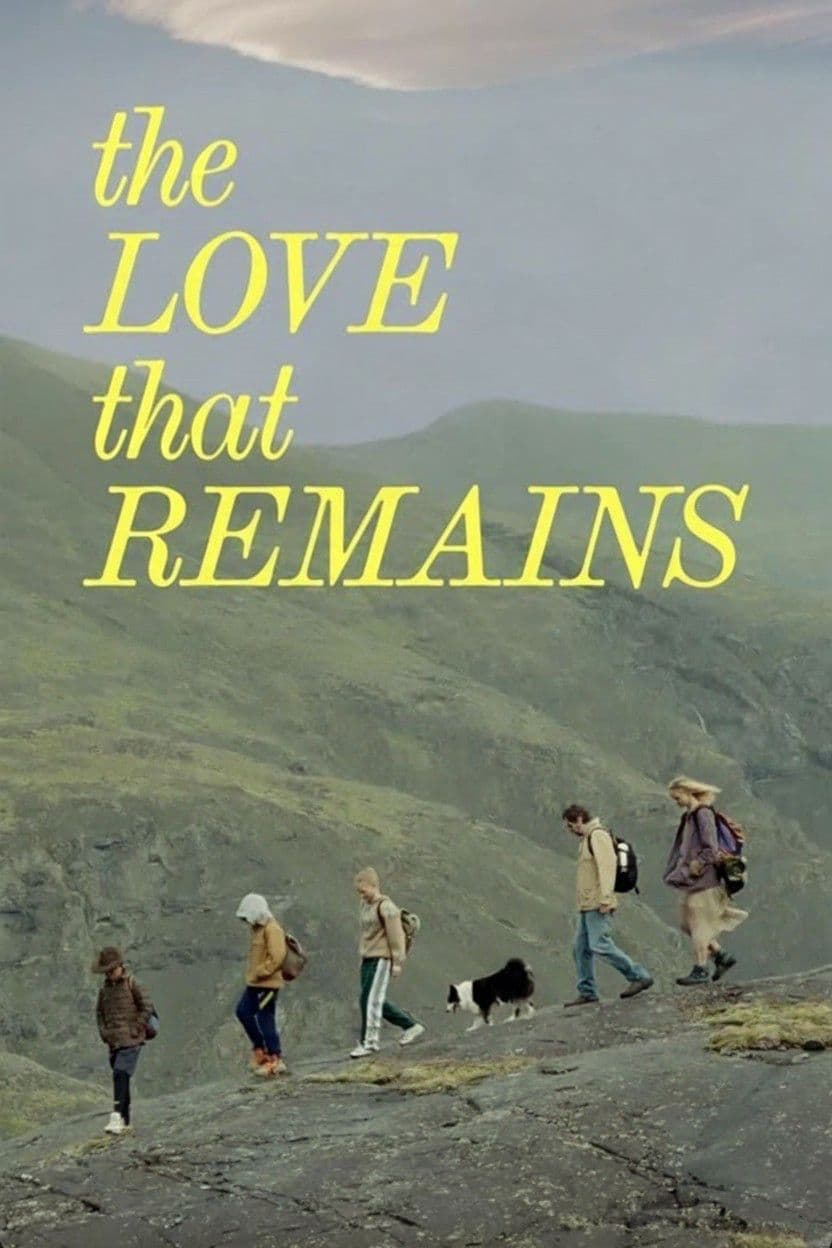 The Love That Remains 2025 720p BluRay x264-VETO
