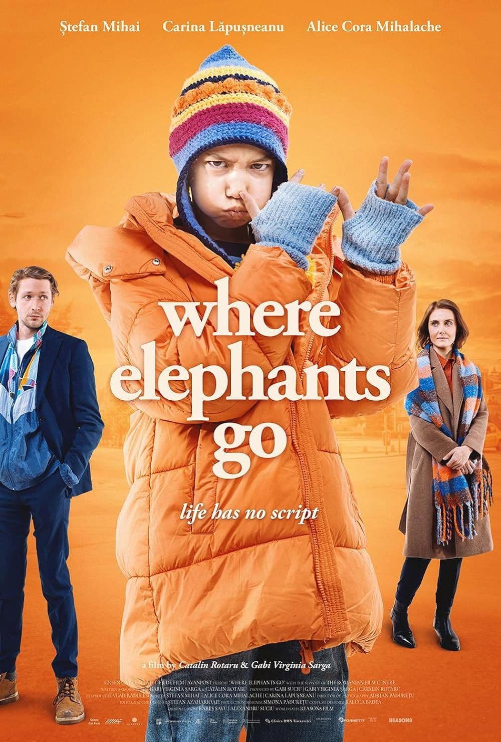 Where Elephants Go 2024 1080p WEBRip-YTSGGYTSBZ