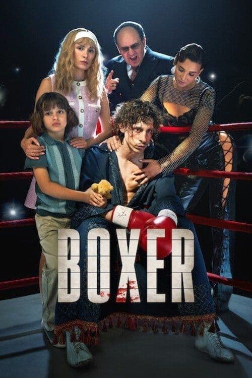 Boxer 2024 1080p NF WEB-DL DDP5 1 H 264 DUAL-BiOMA