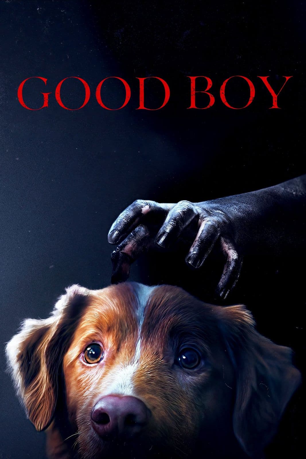 Good Boy 2025 m720p BluRay x264-GeneMige